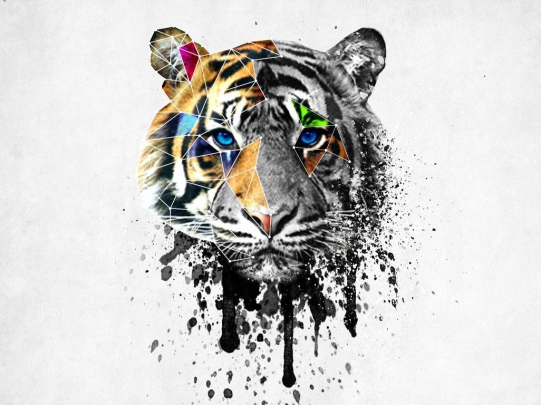 Geometric Tiger Wallpapers