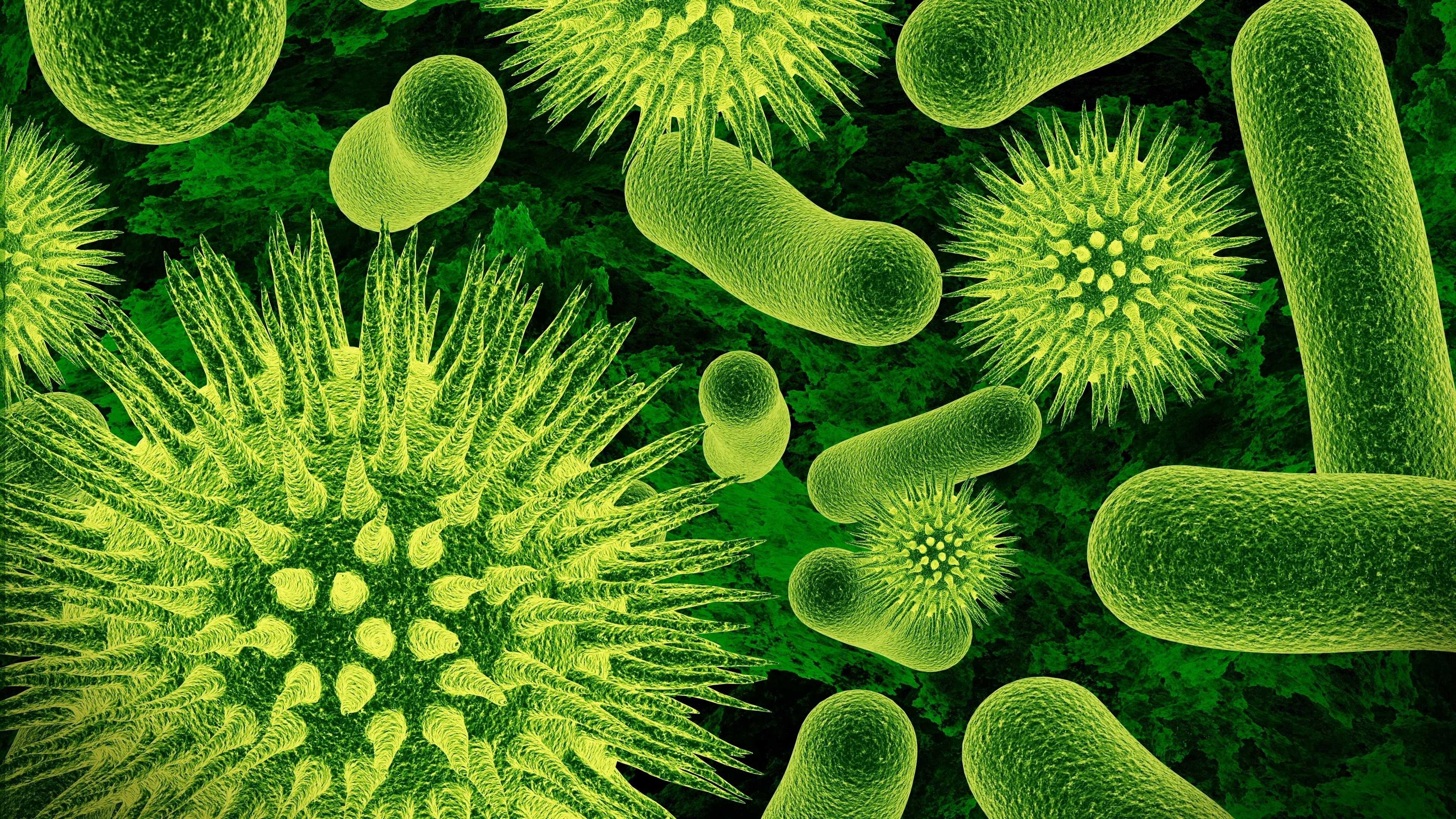 Germs Wallpapers