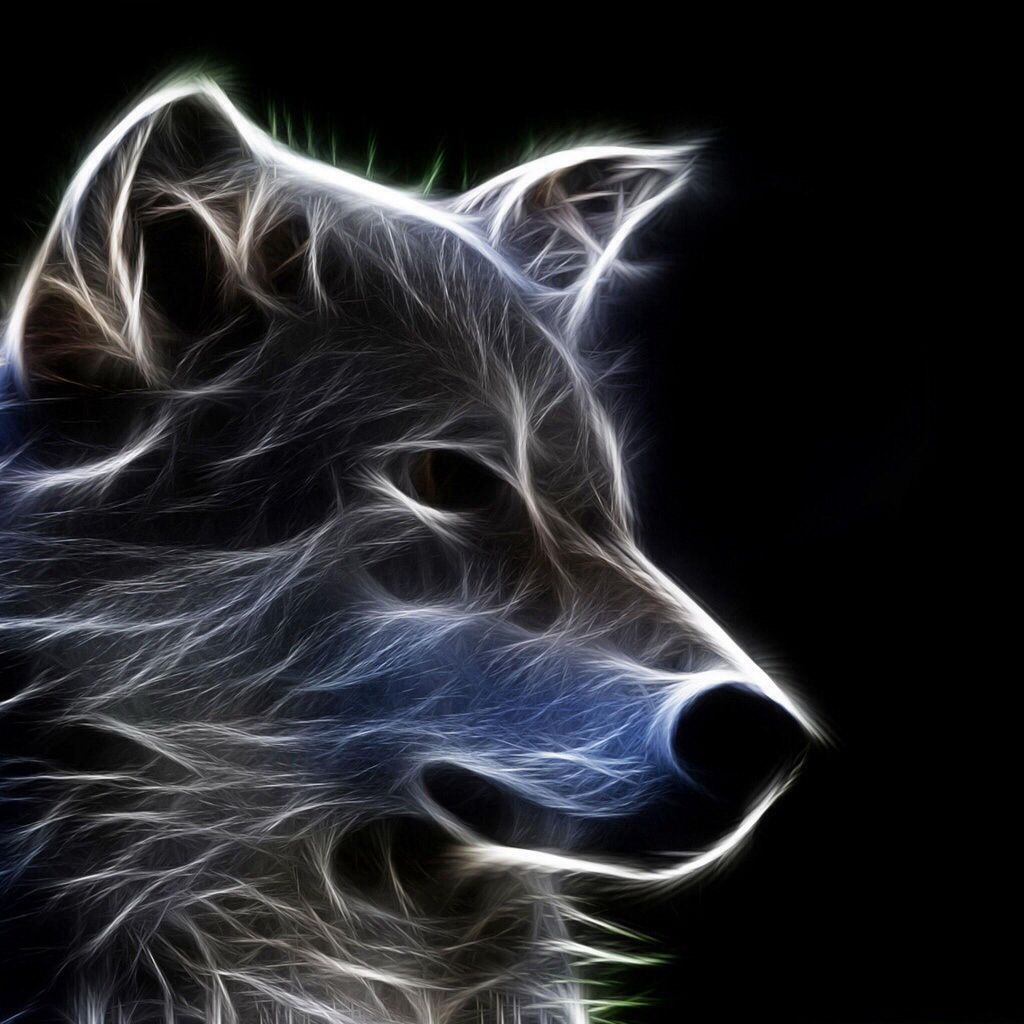 Ghost Wolf Wallpapers