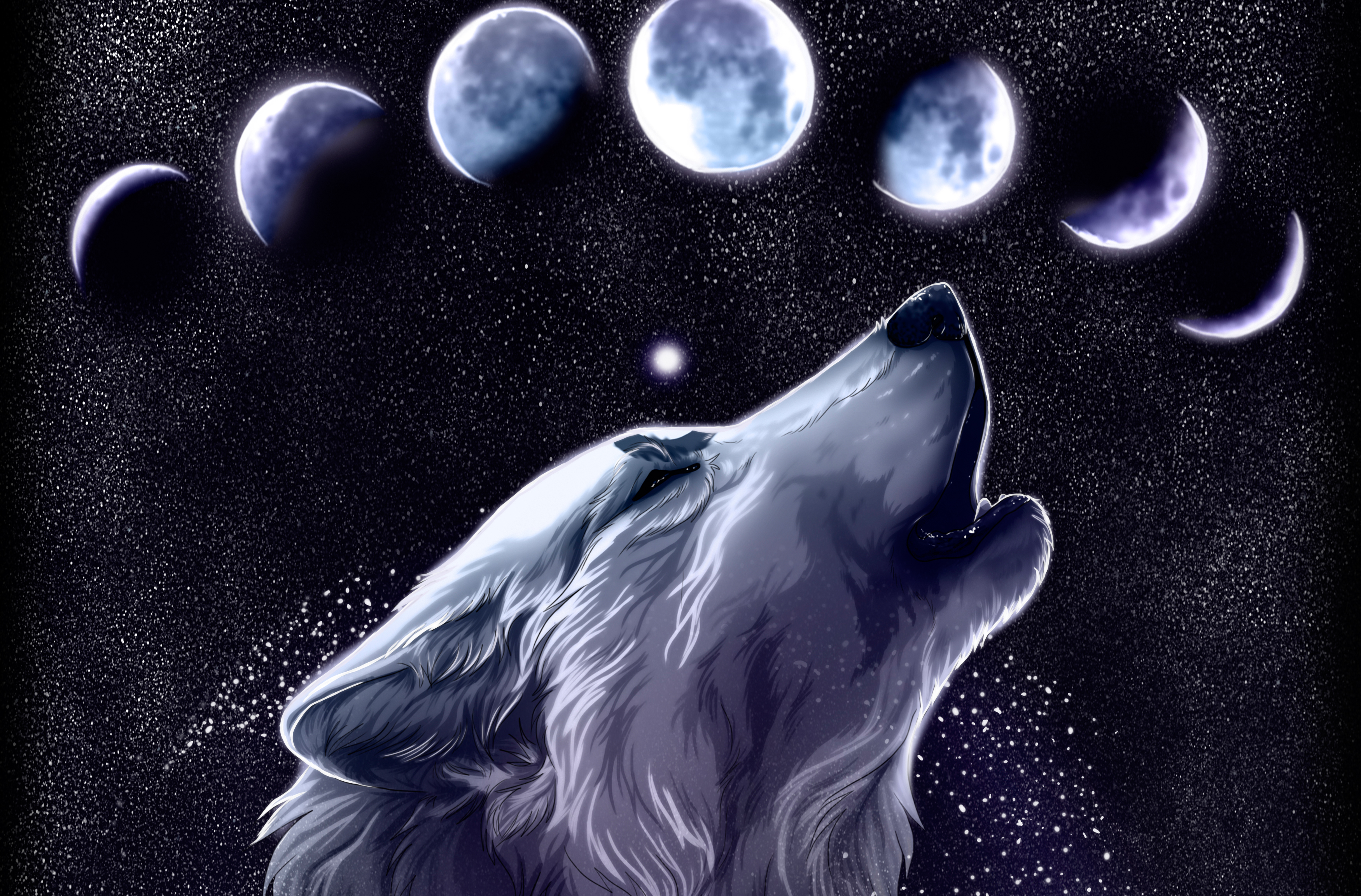 Ghost Wolf Wallpapers