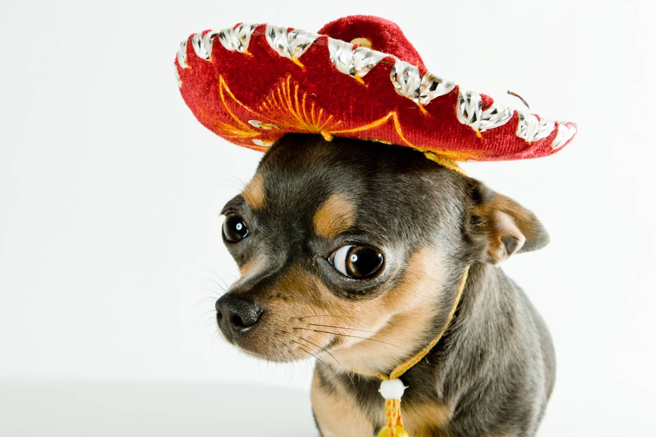 Girly Cute Mexican Wallpapers