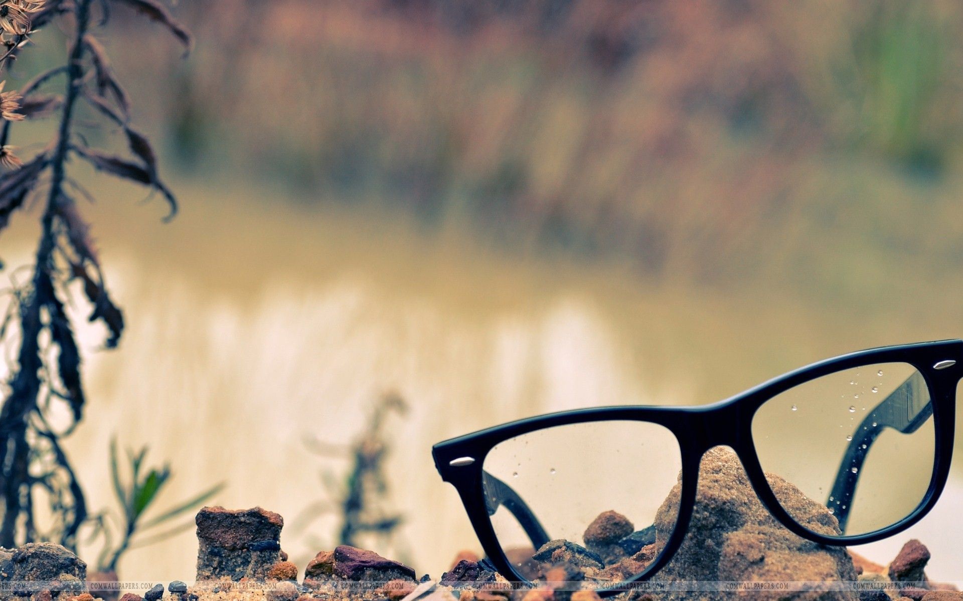 Glasses Hd Wallpapers