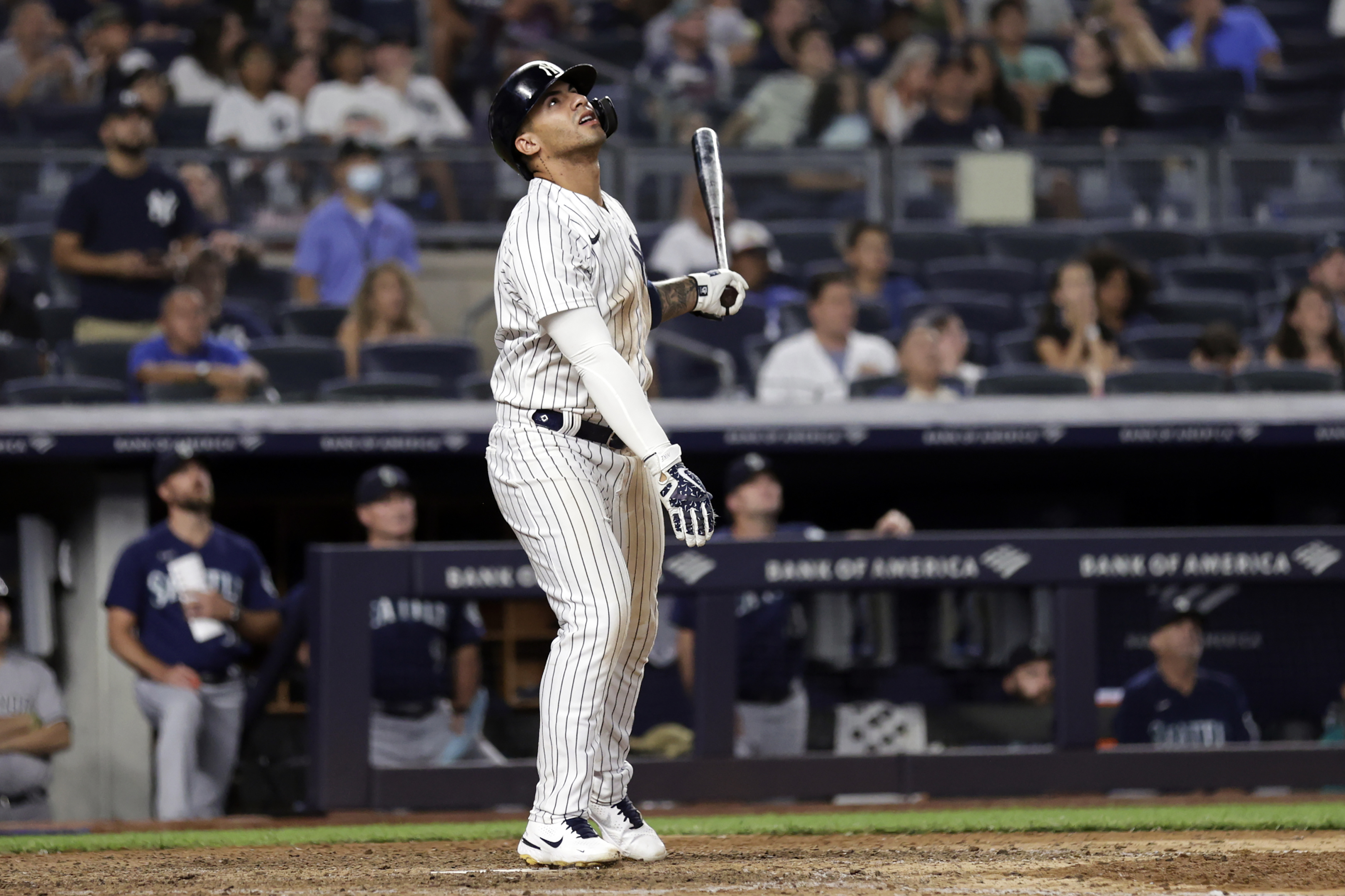 Gleyber Torres Wallpapers