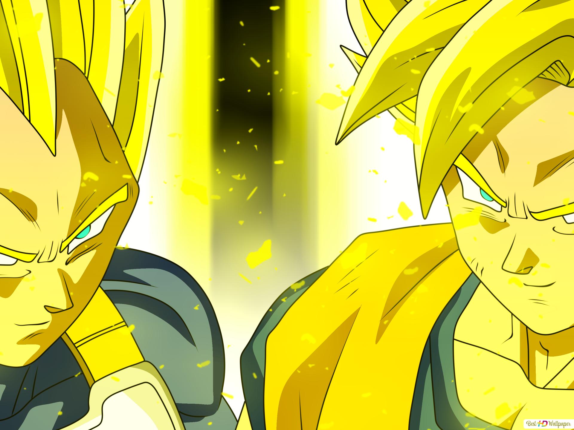 Goku And Vegeta Wallpapers