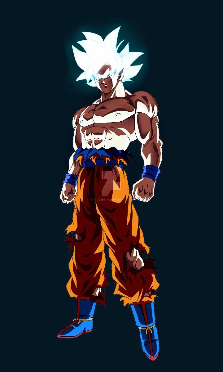 Goku Mastered Ultra Instinct Full Body Wallpapers