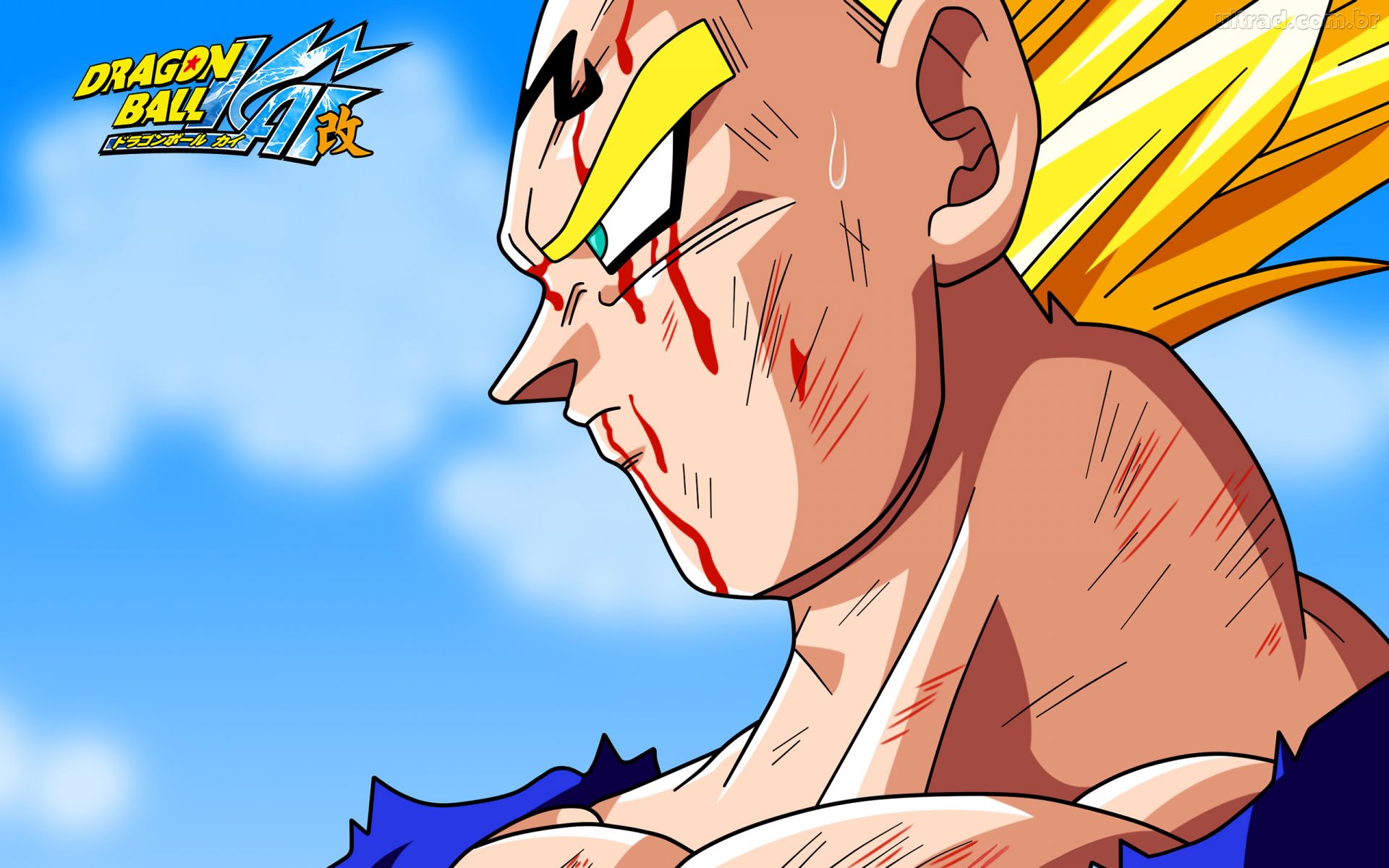 Goku Vs Majin Vegeta Wallpapers