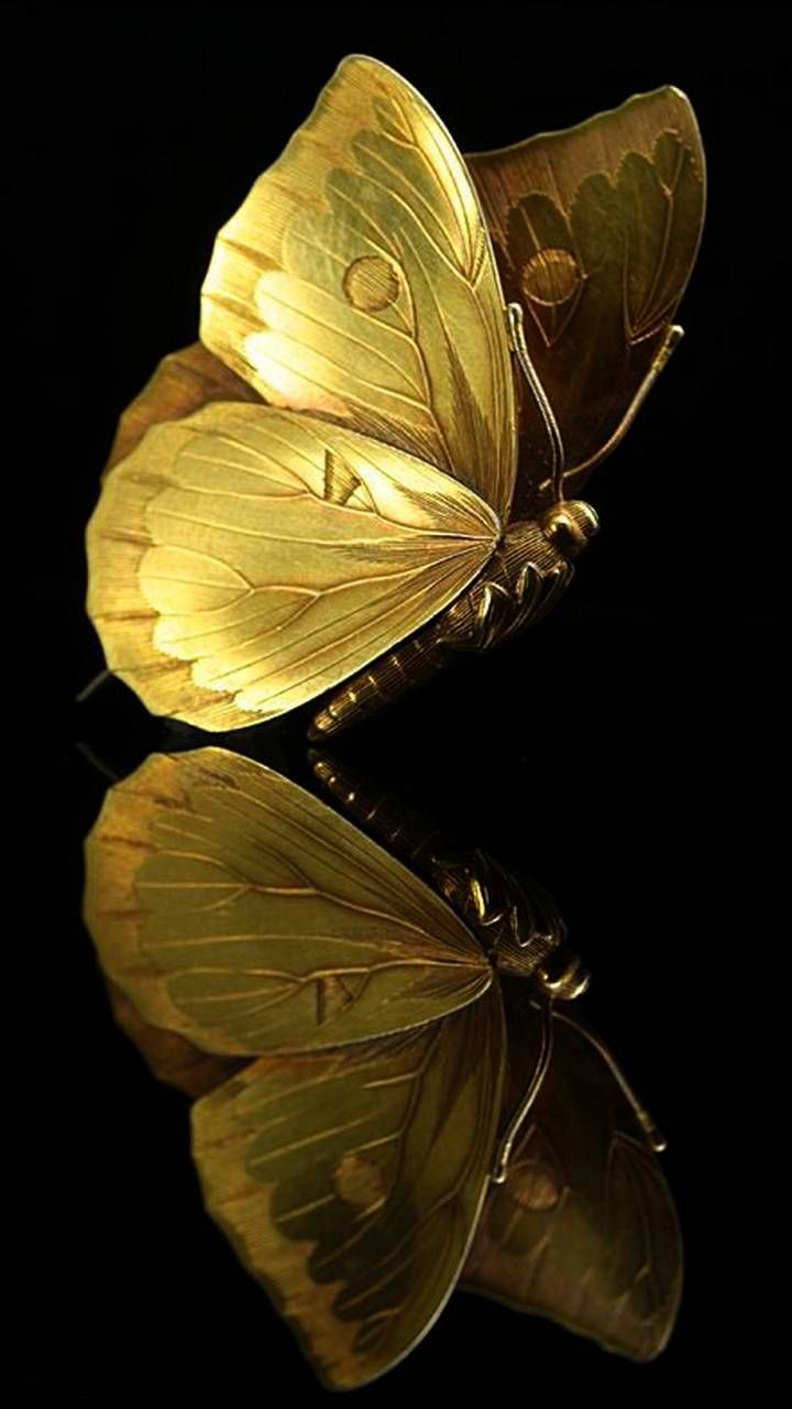 Gold Butterfly Wallpapers