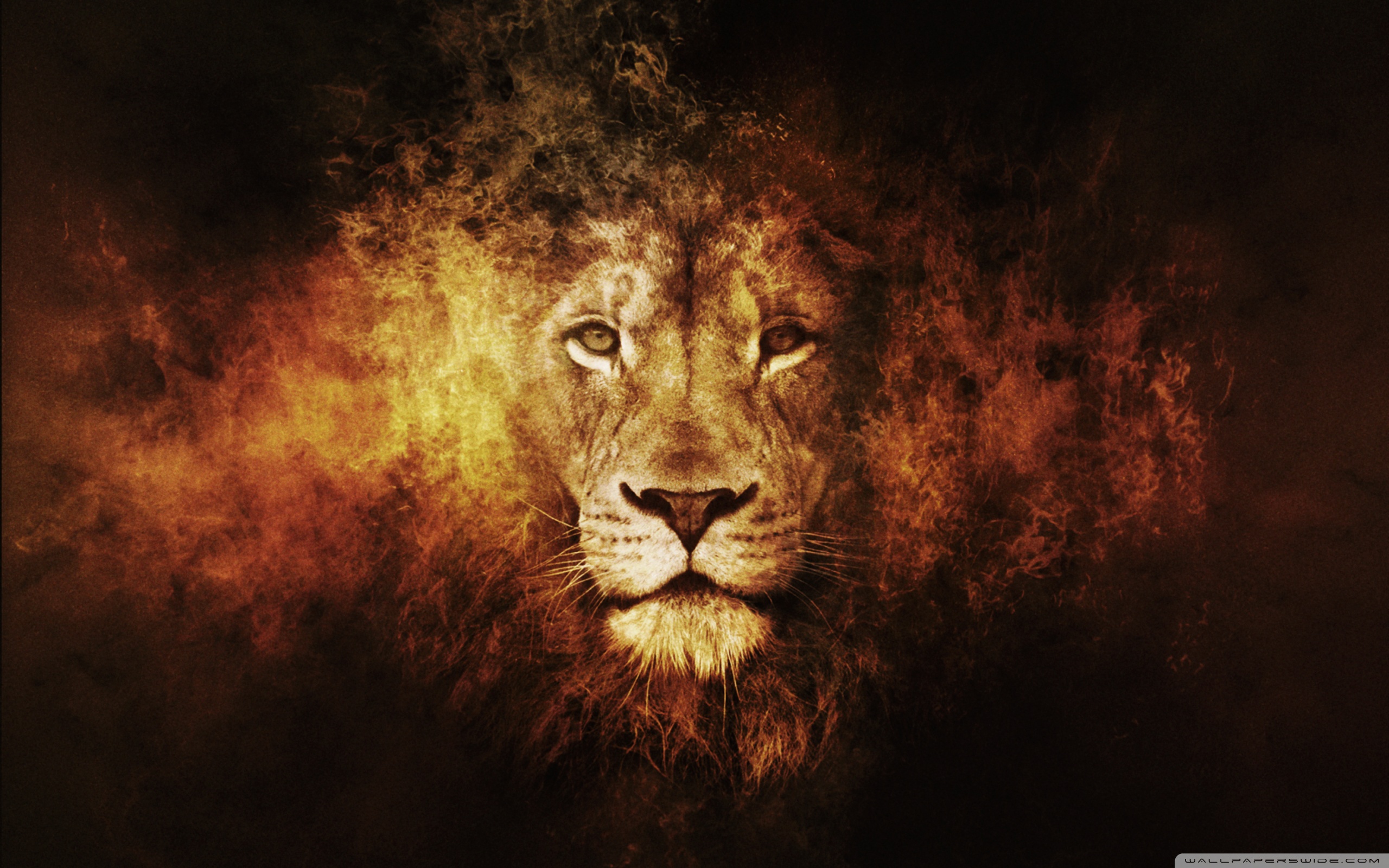 Golden Lion Wallpapers