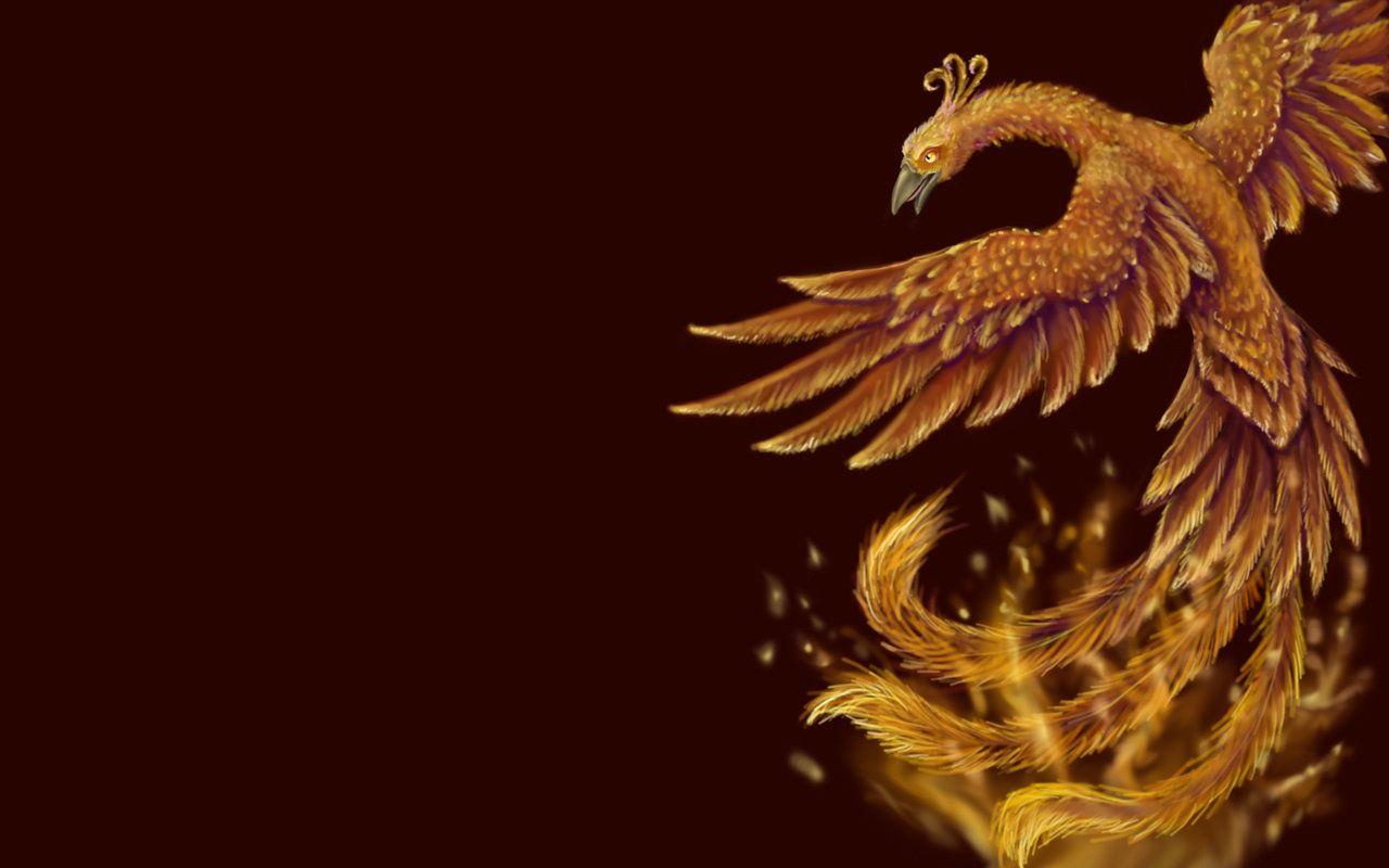 Golden Phoenix Bird Wallpapers