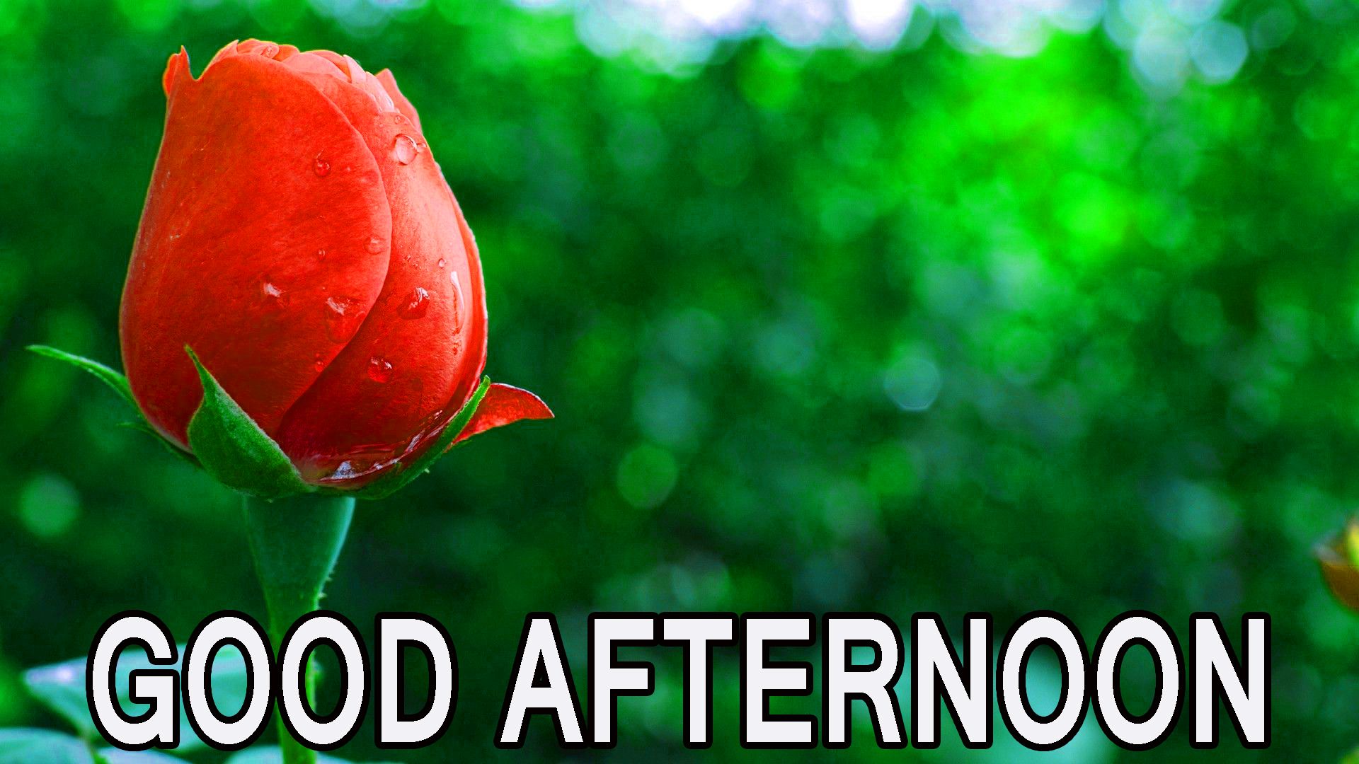 Good Afternoon Blessings Images Wallpapers