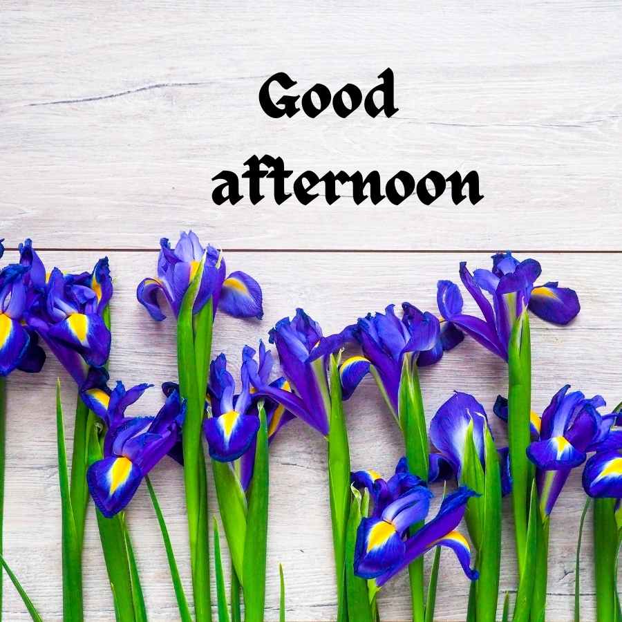 Good Afternoon Blessings Images Wallpapers