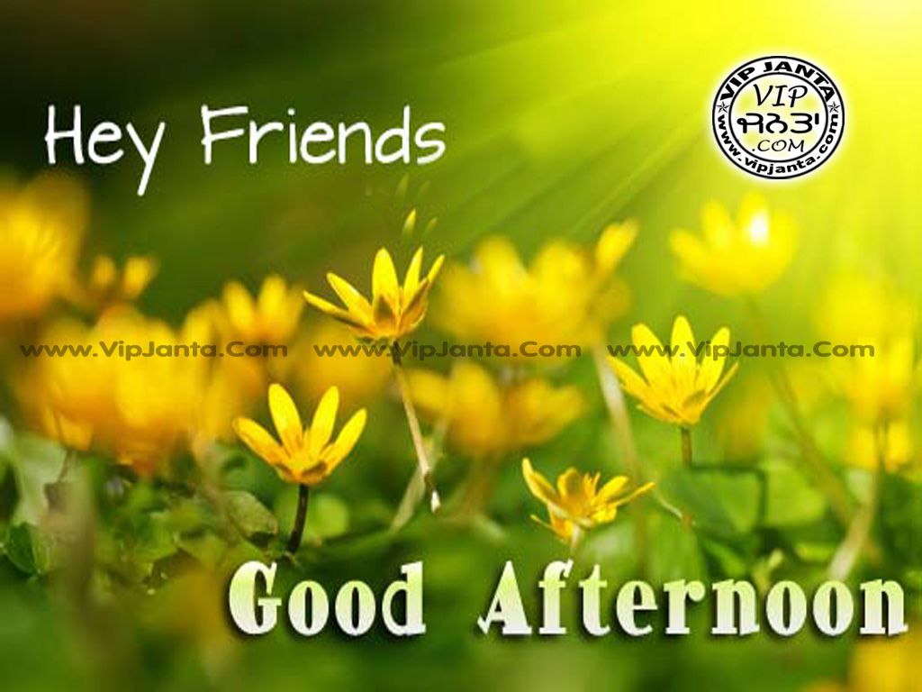 Good Afternoon Blessings Images Wallpapers