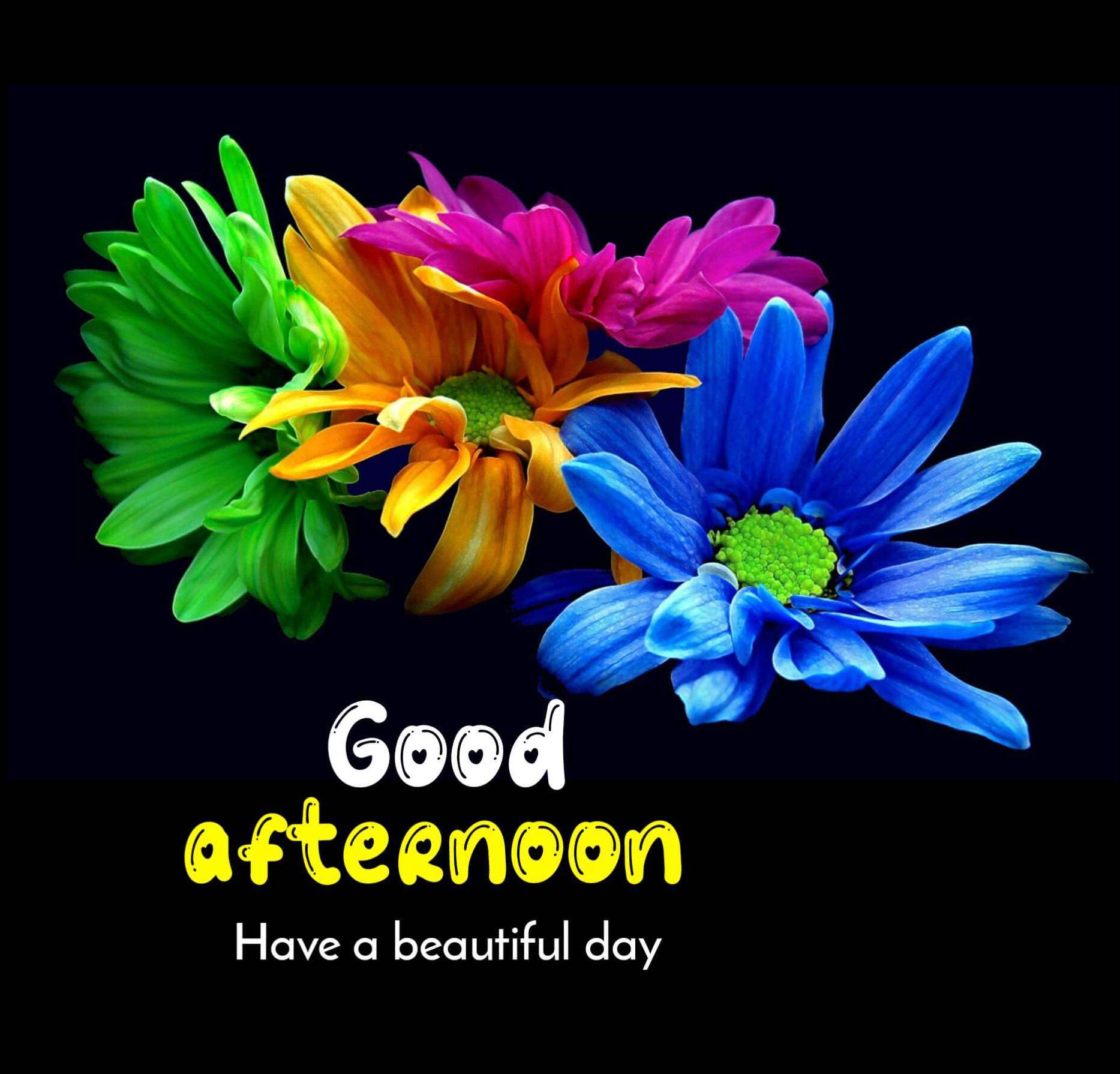 Good Afternoon Blessings Images Wallpapers