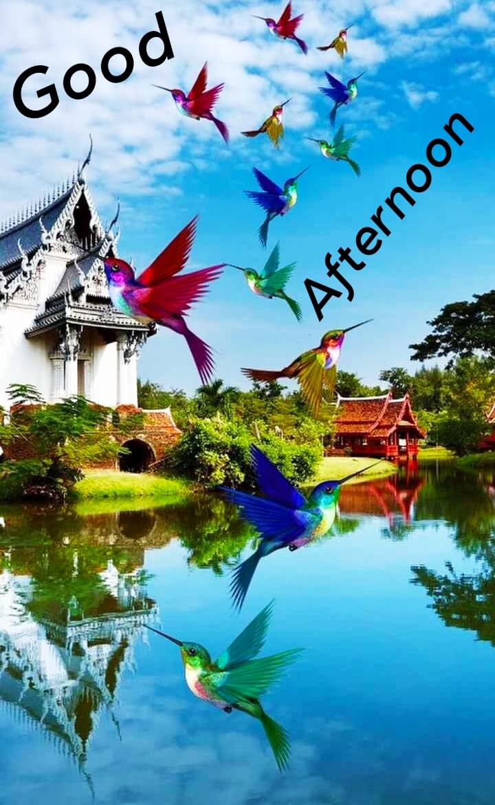Good Afternoon Wallpapers