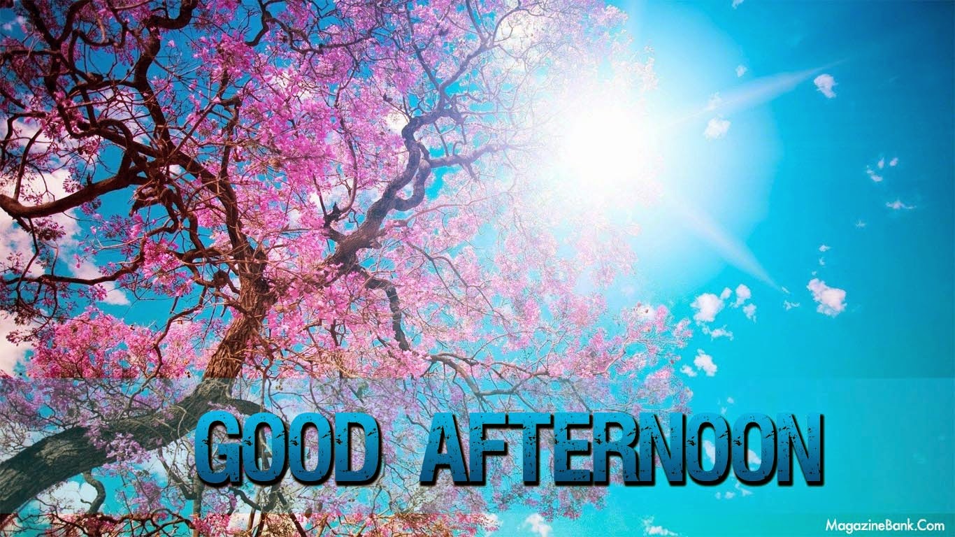 Good Afternoon Wallpapers