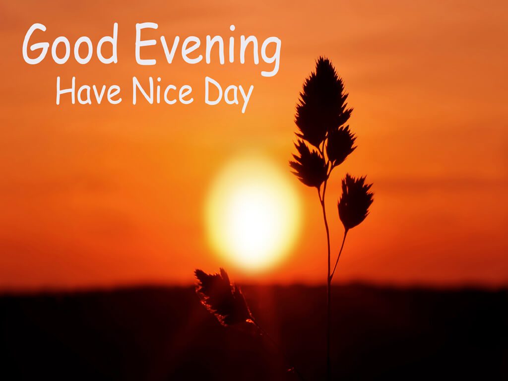 Good Evenings Wallpapers