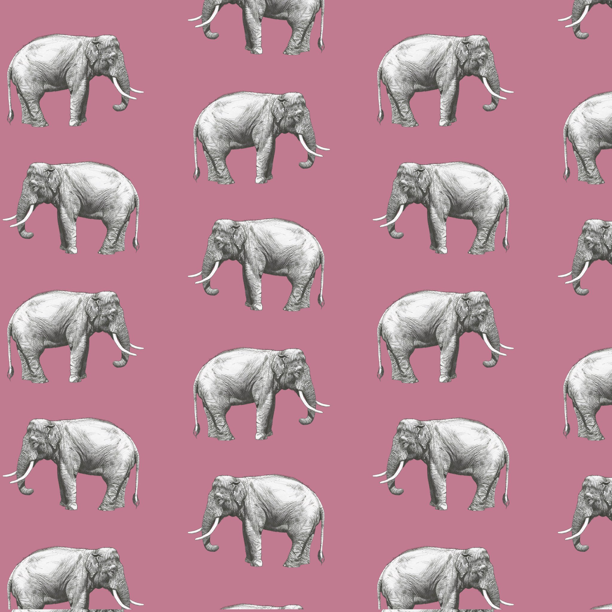 Good Luck Elephant Wallpapers