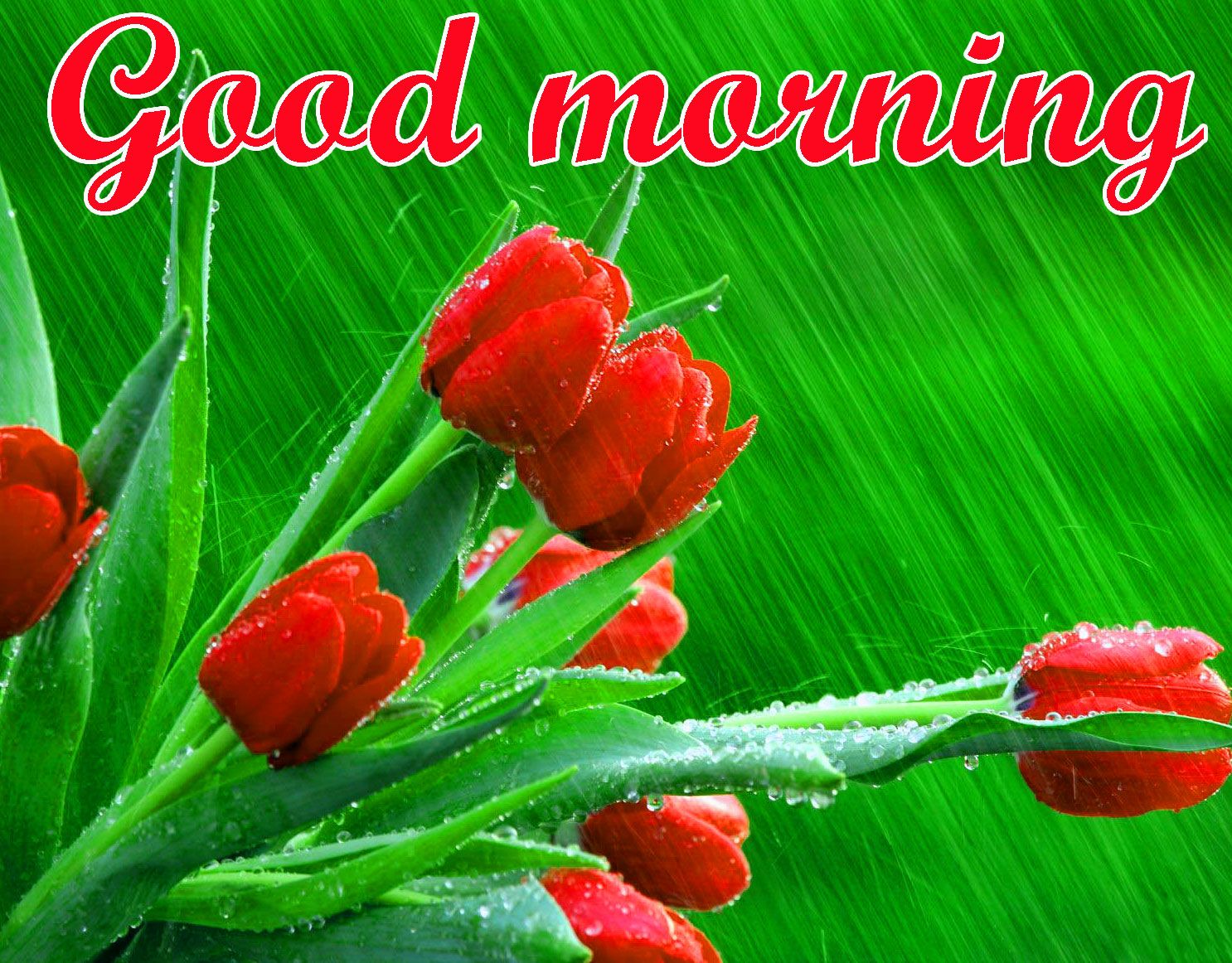 Good Morning 3D Images Wallpapers