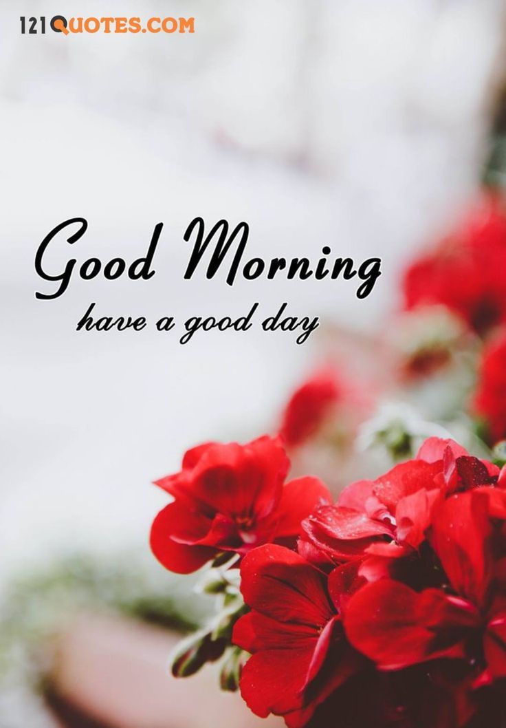 Good Morning 4K Hd Images Wallpapers