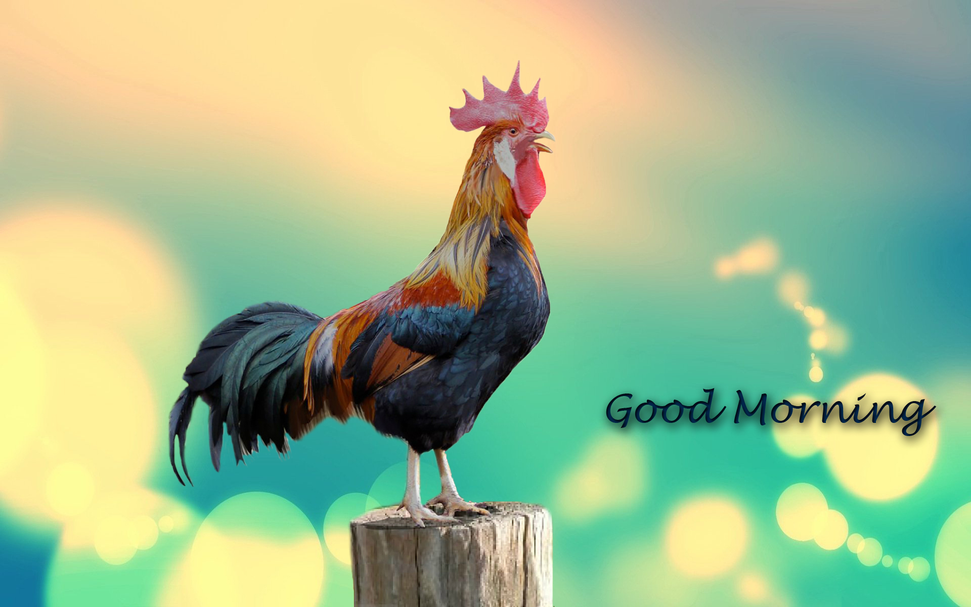 Good Morning 4K Hd Images Wallpapers