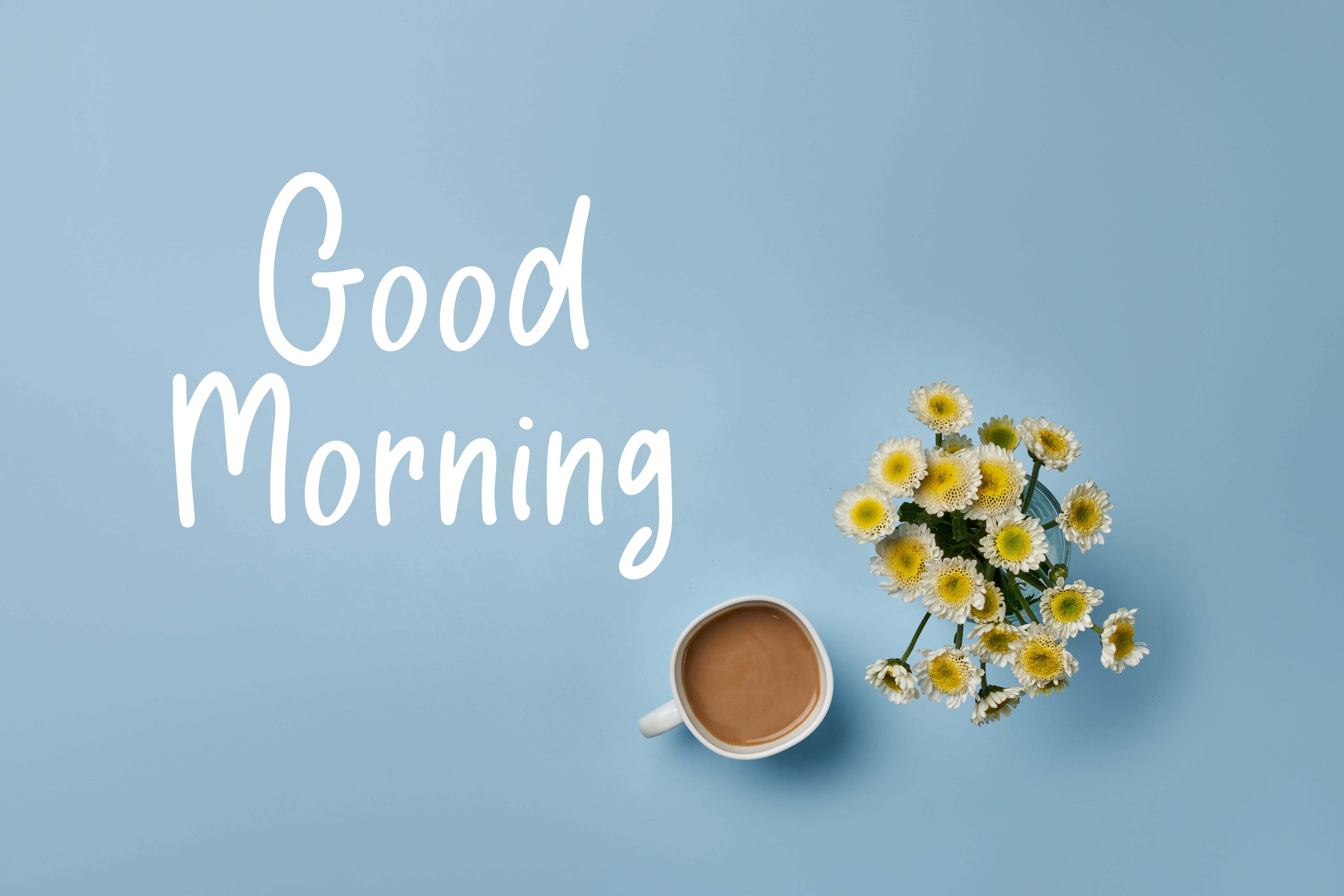 Good Morning 4K Hd Images Wallpapers