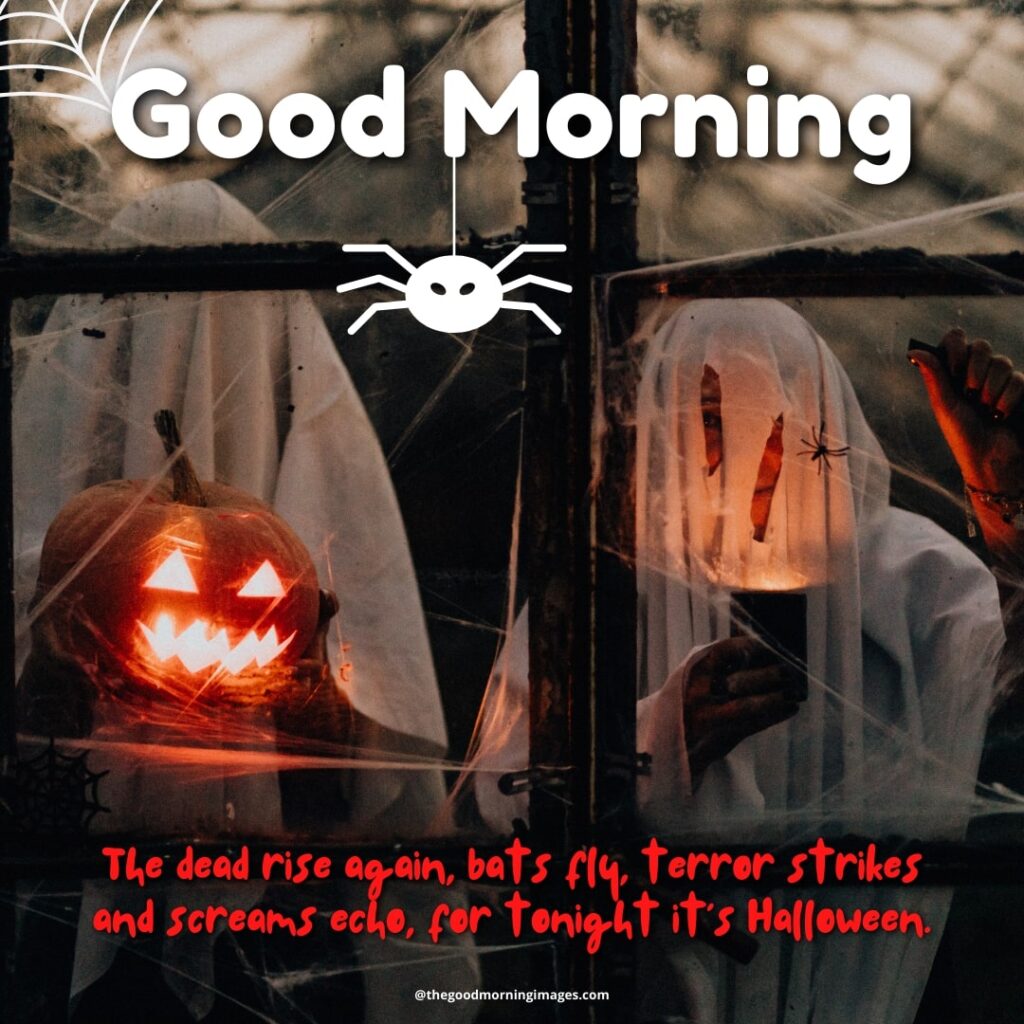 Good Morning Halloween Images Wallpapers