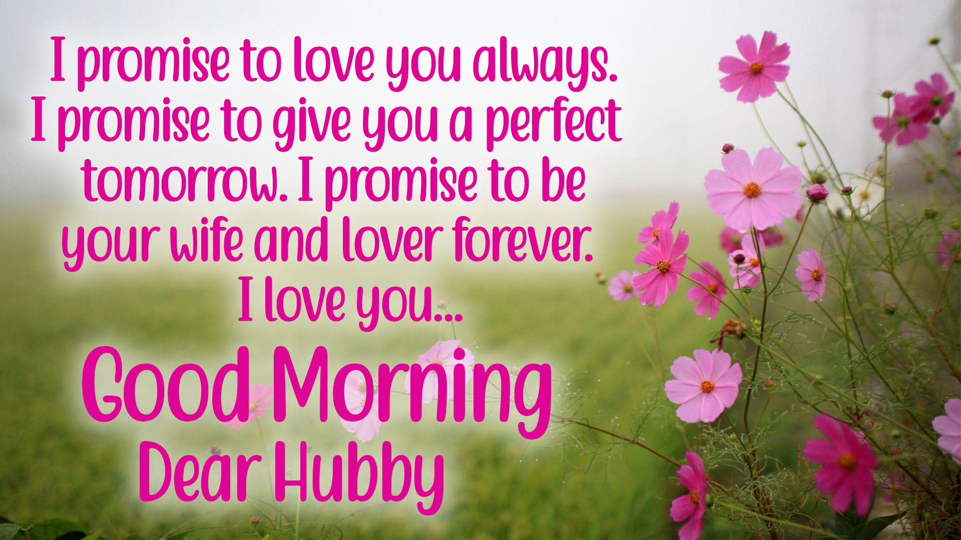 Good Morning Husband Image Hd Wallpapers