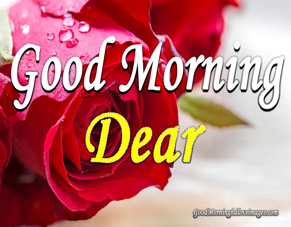 Good Morning Images Download Wallpapers