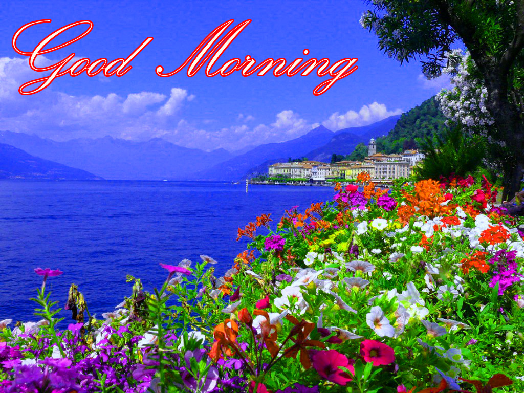 Good Morning Images Download Wallpapers