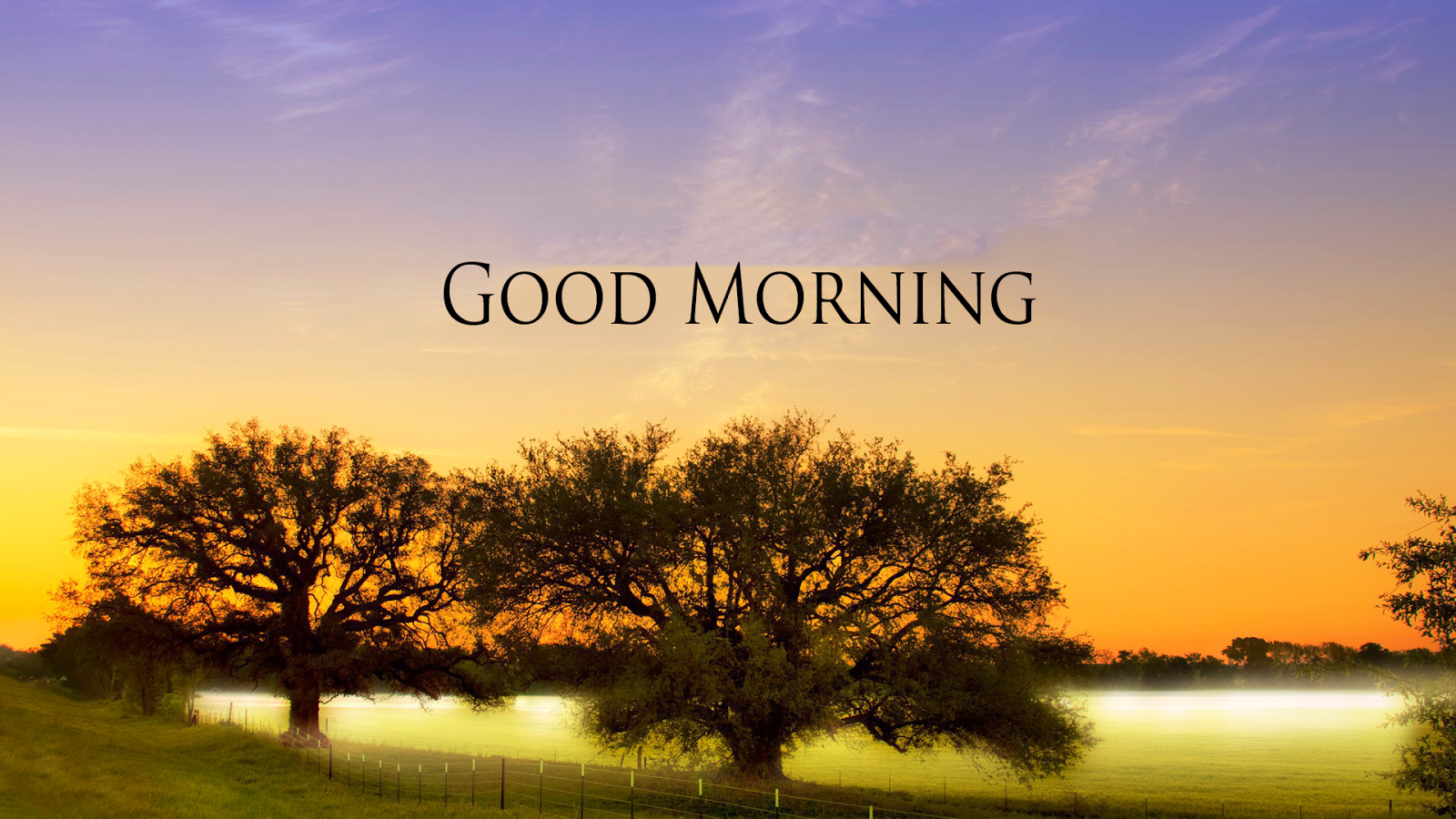 Good Morning Images Hd 1080P Download Wallpapers