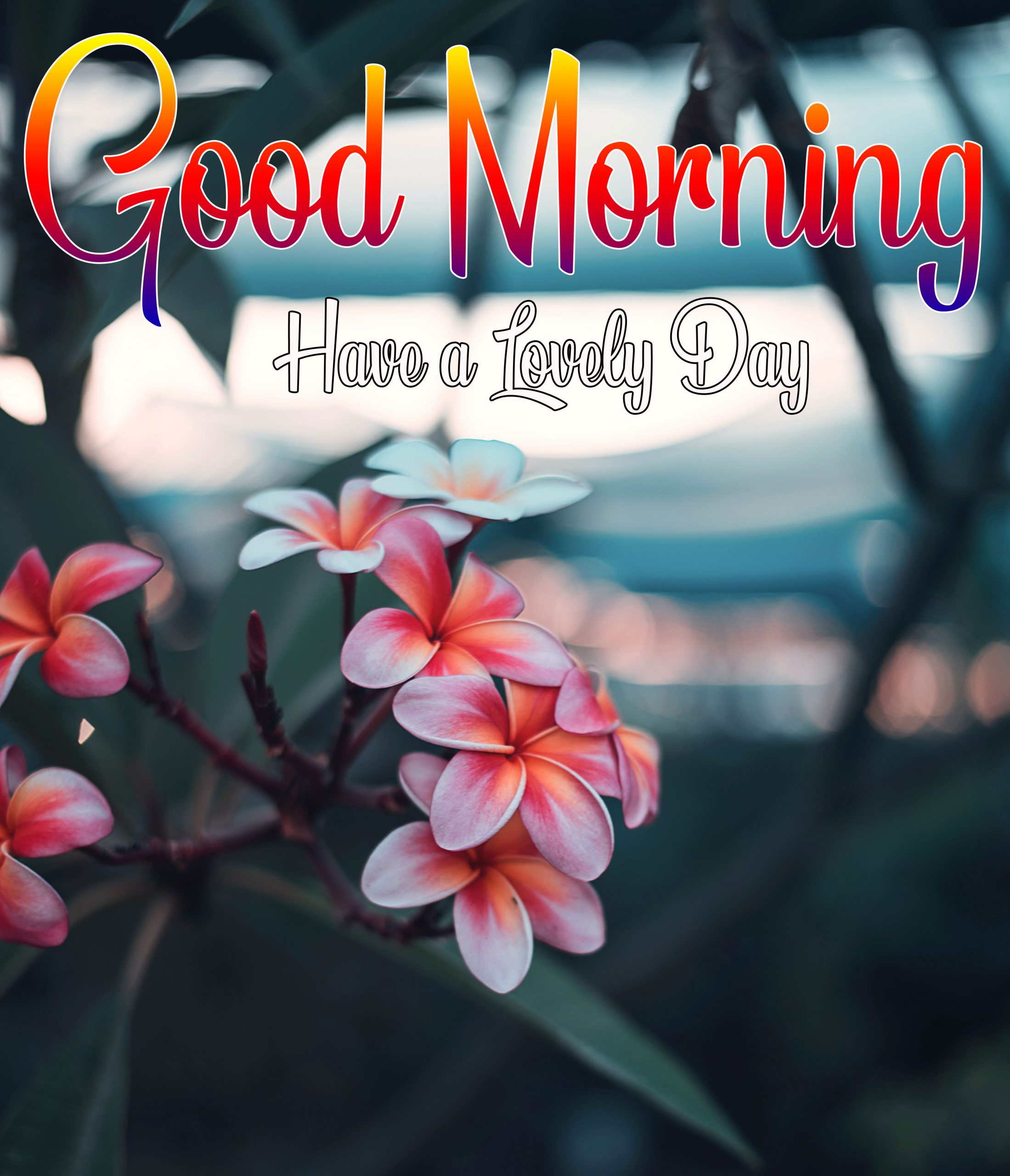 Good Morning Images Hd 1080P Download Wallpapers