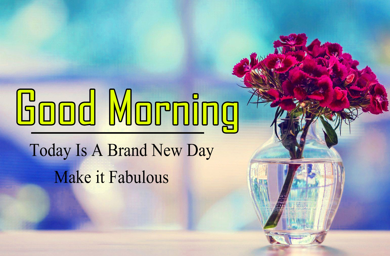 Good Morning Images Hd 1080P Download Wallpapers