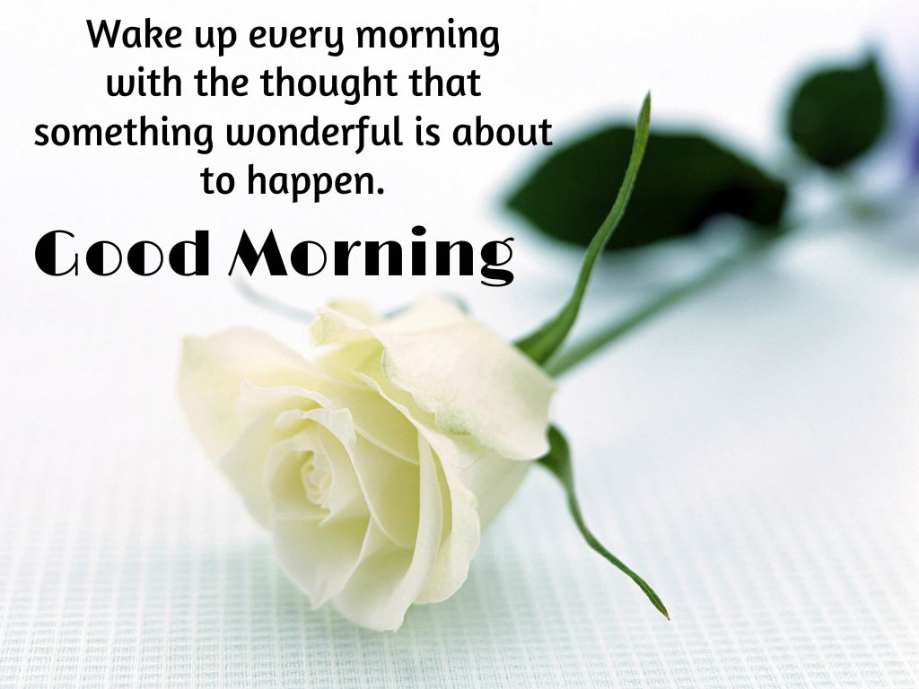 Good Morning Images Hd 1080P Download Wallpapers