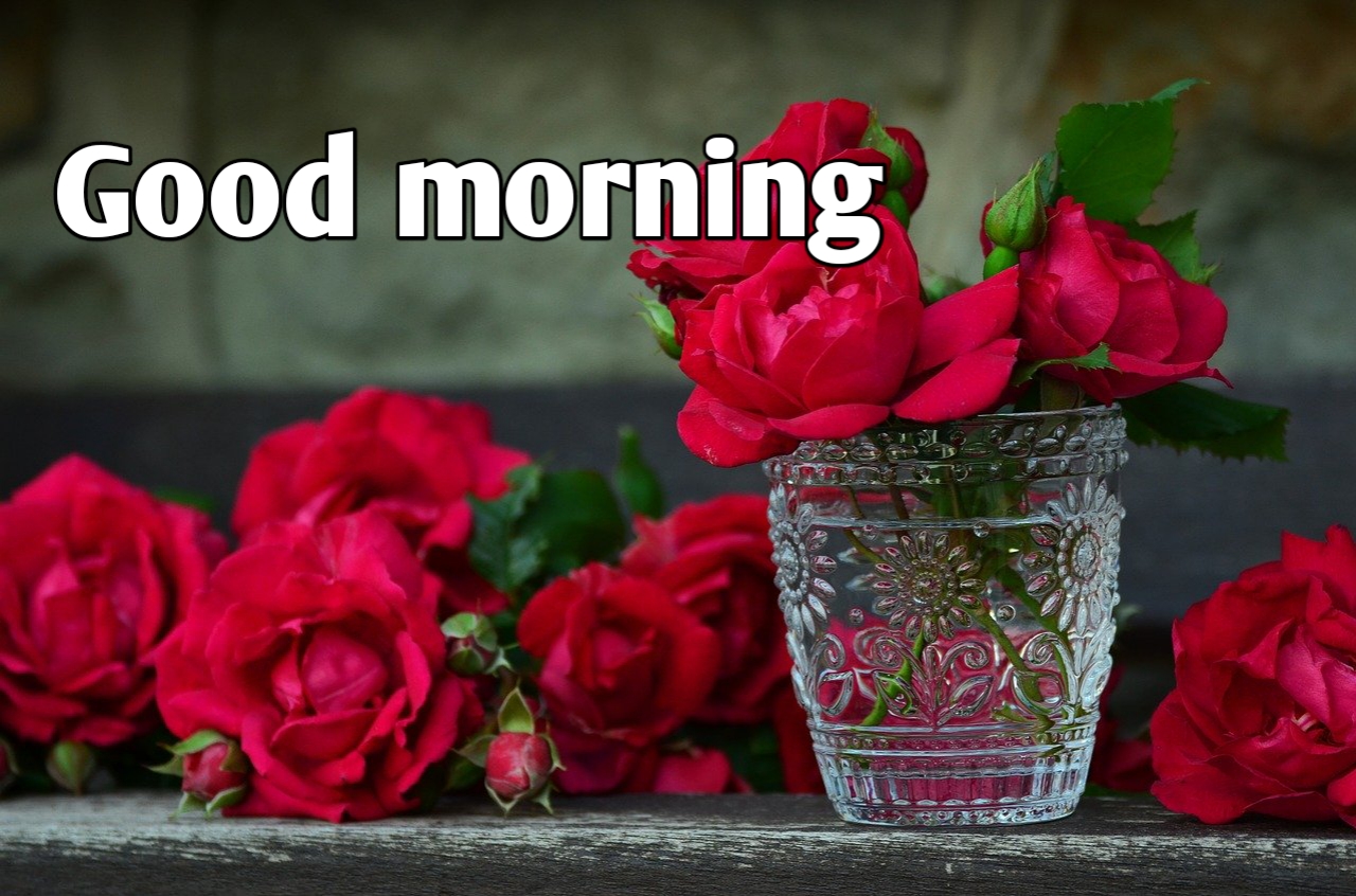 Good Morning Images Hd 1080P Download Wallpapers