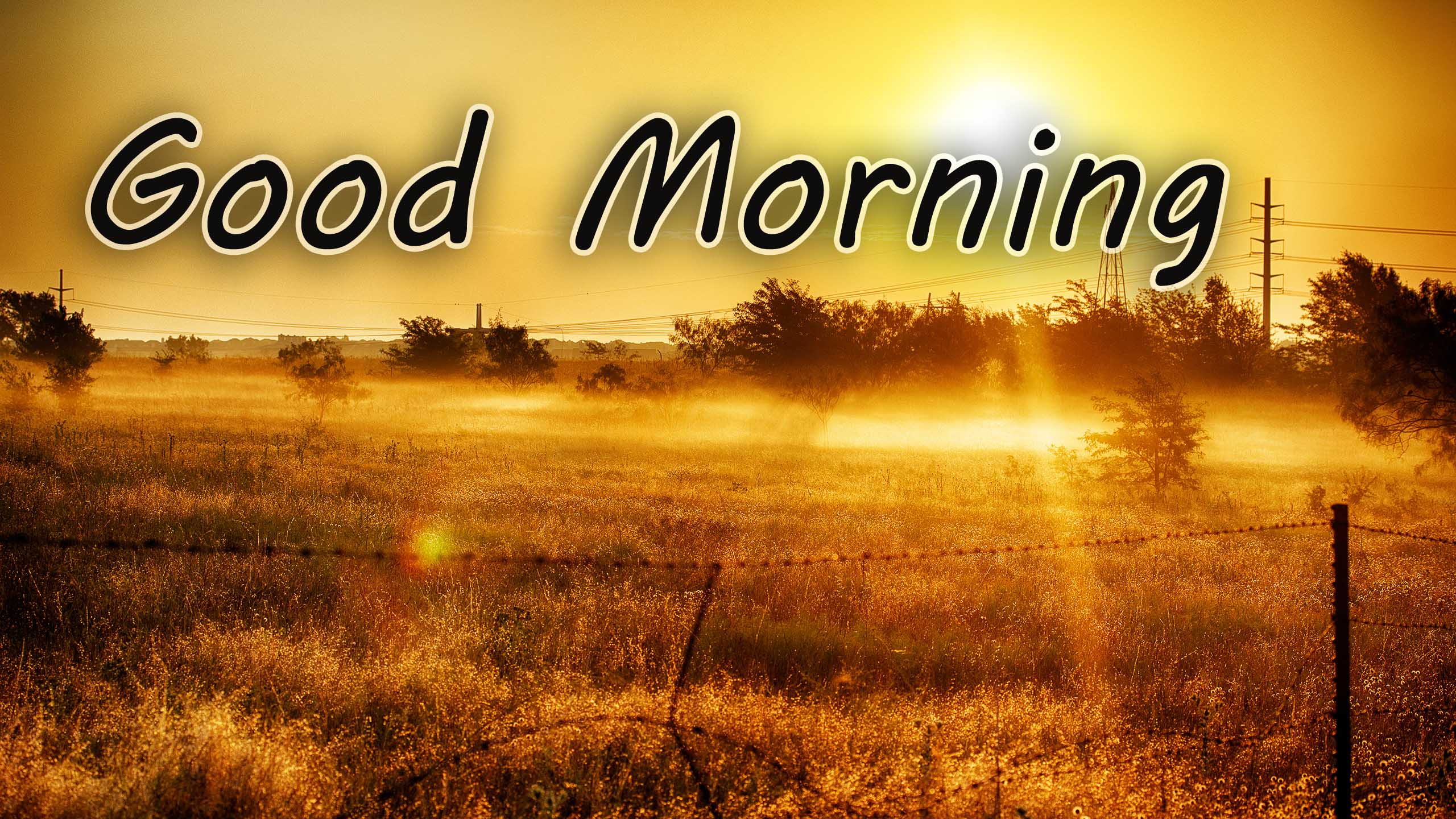 Good Morning Images Hd 1080P Download Wallpapers