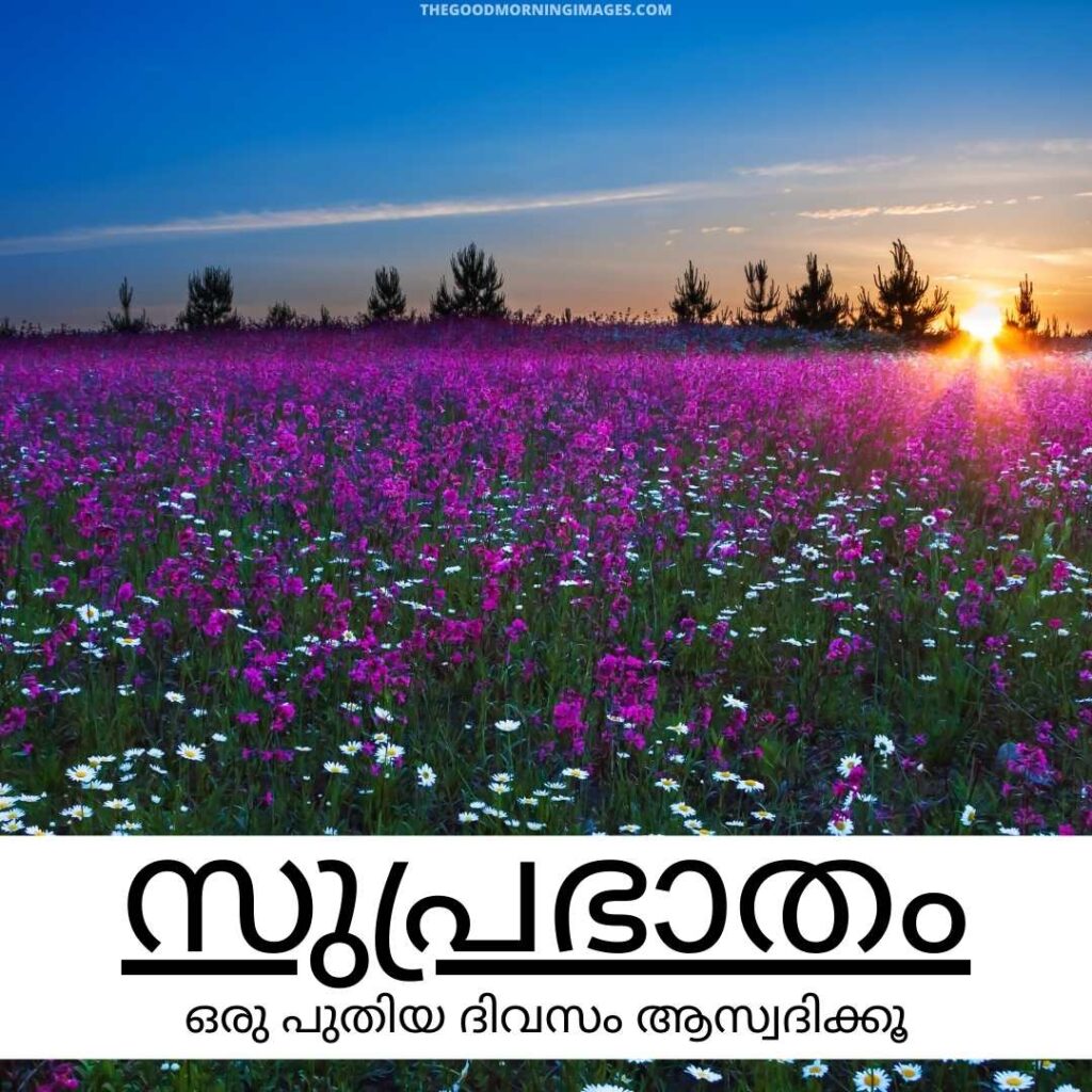 Good Morning Malayalam Wallpapers