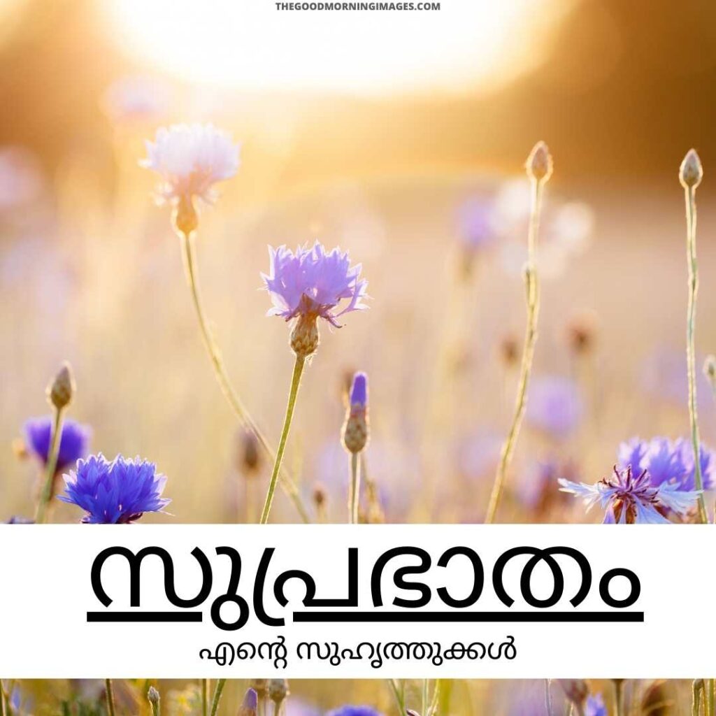 Good Morning Malayalam Wallpapers