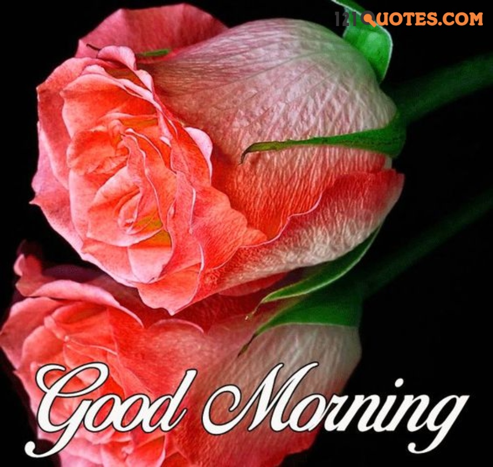 Good Morning Malayalam Wallpapers