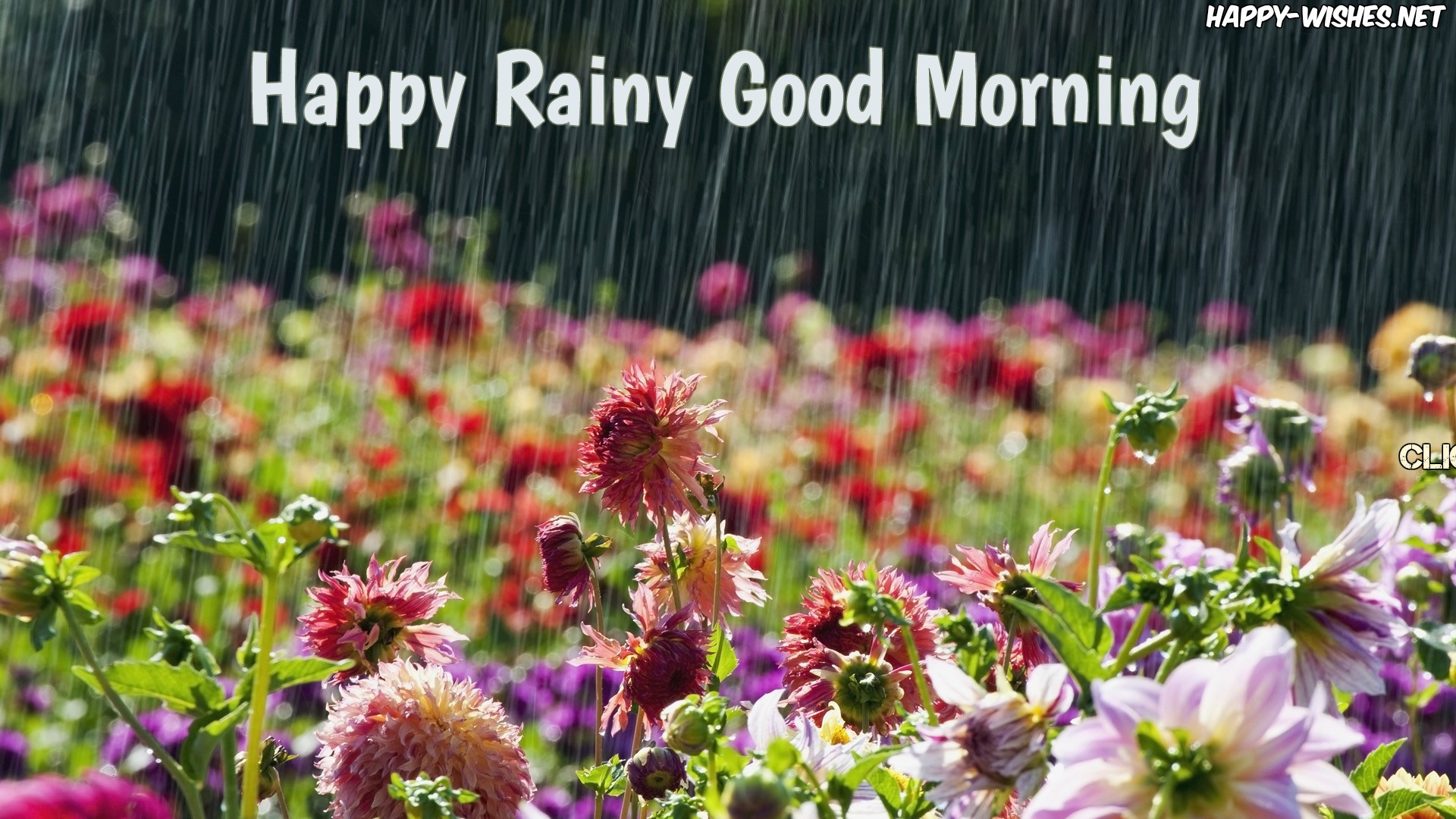 Good Morning Rainy Day Images Wallpapers