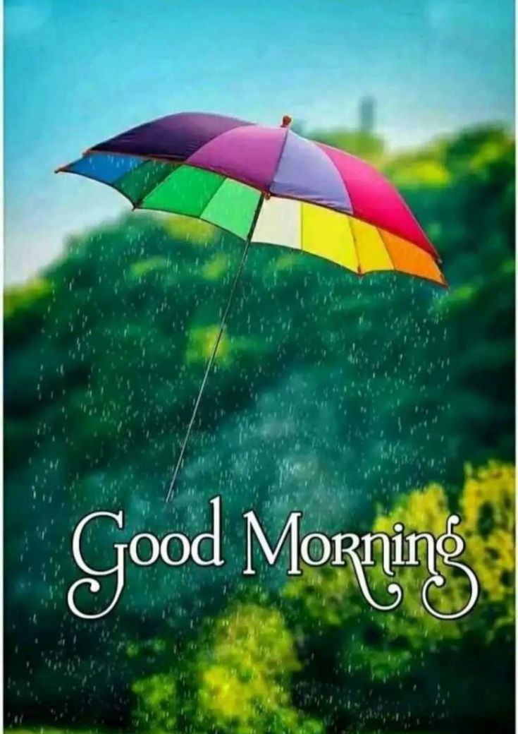 Good Morning Rainy Day Images Wallpapers