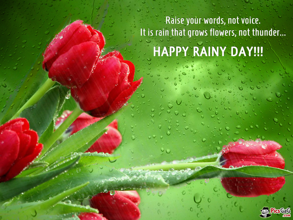 Good Morning Rainy Day Images Wallpapers