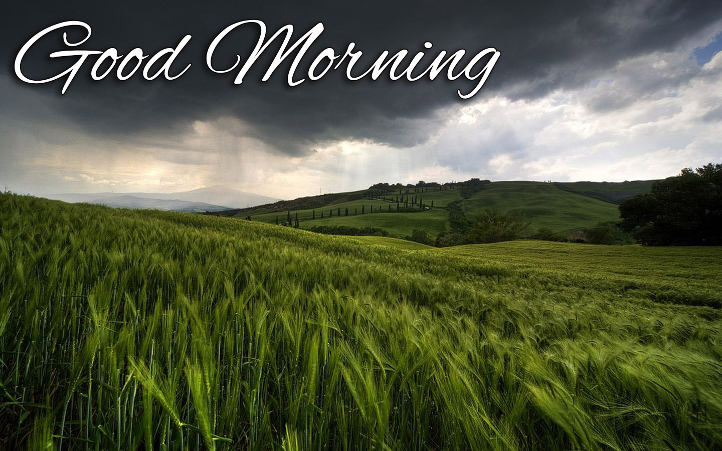 Good Morning Rainy Day Images Wallpapers