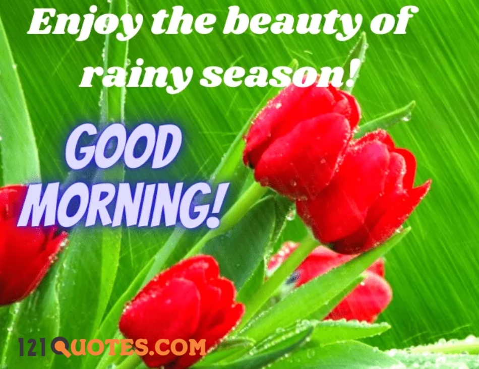 Good Morning Rainy Day Images Wallpapers