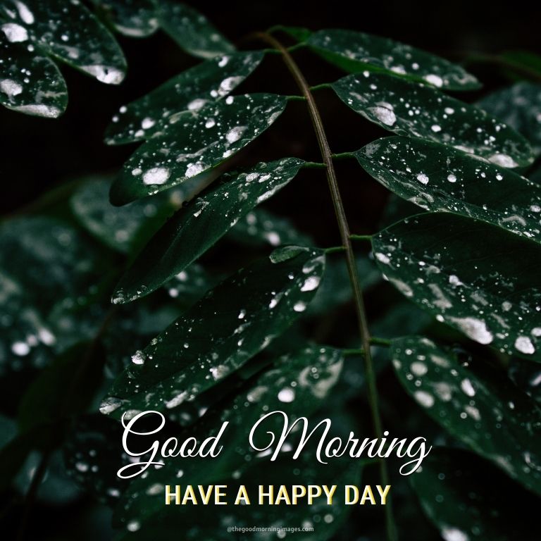 Good Morning Rainy Day Images Wallpapers