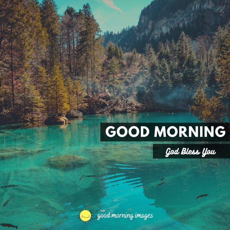Good Morning Scenery Images Wallpapers