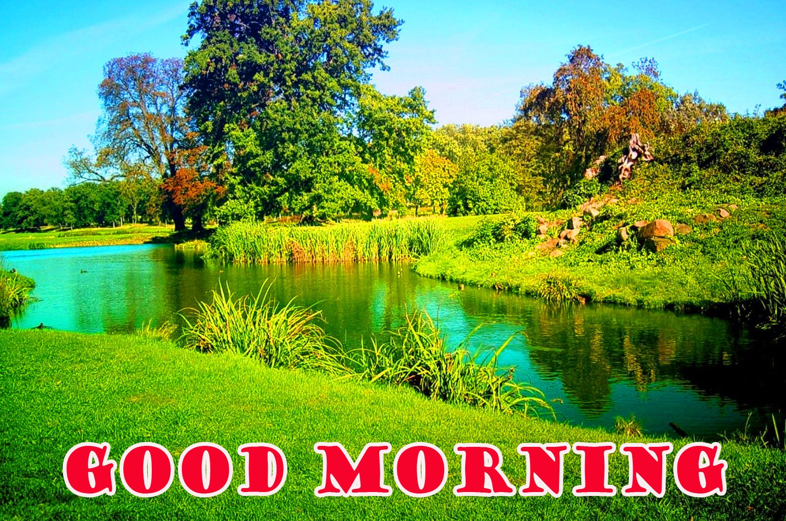 Good Morning Scenery Images Wallpapers