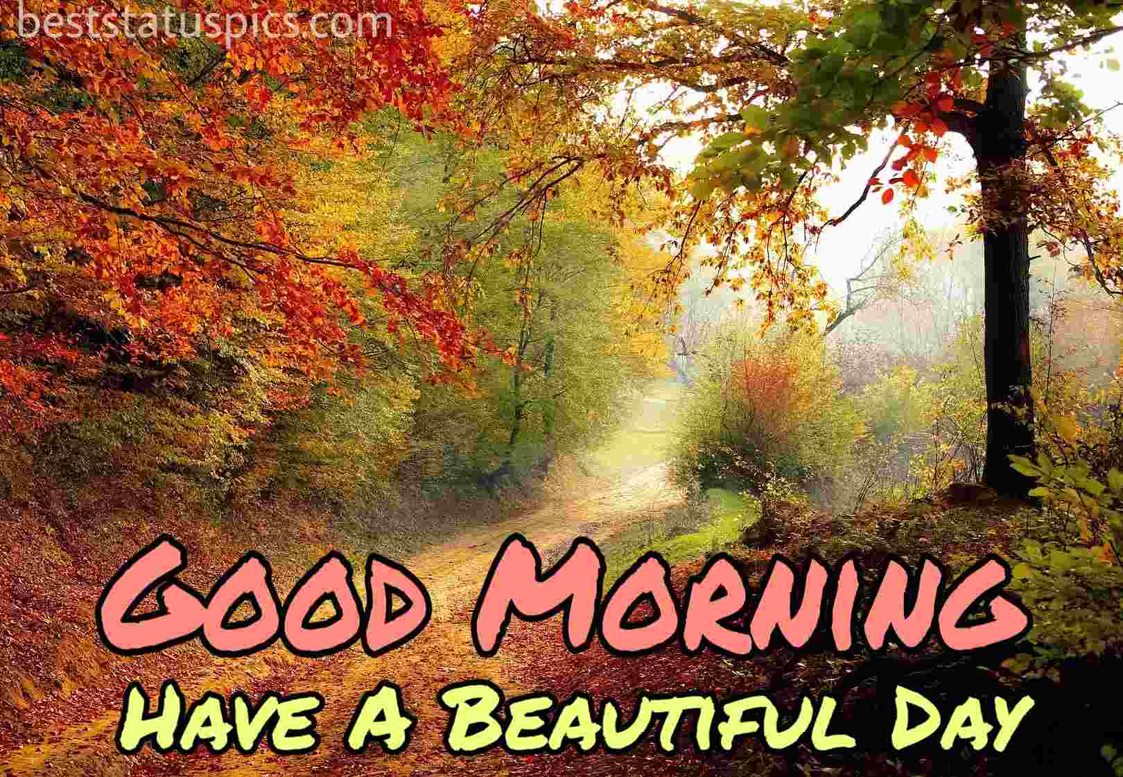 Good Morning Scenery Images Wallpapers