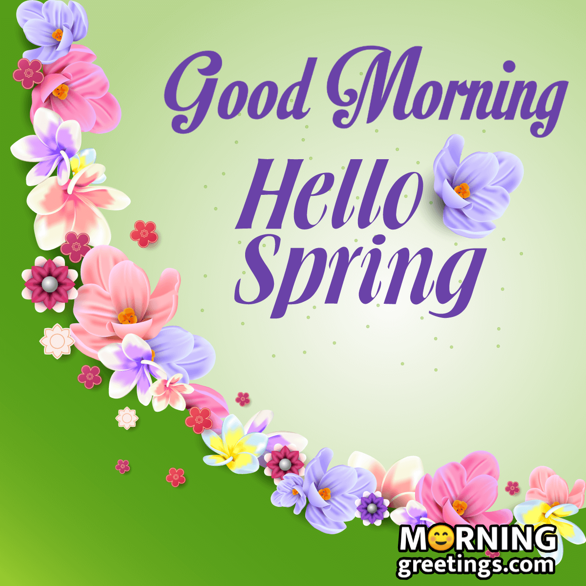 Good Morning Spring Images Wallpapers