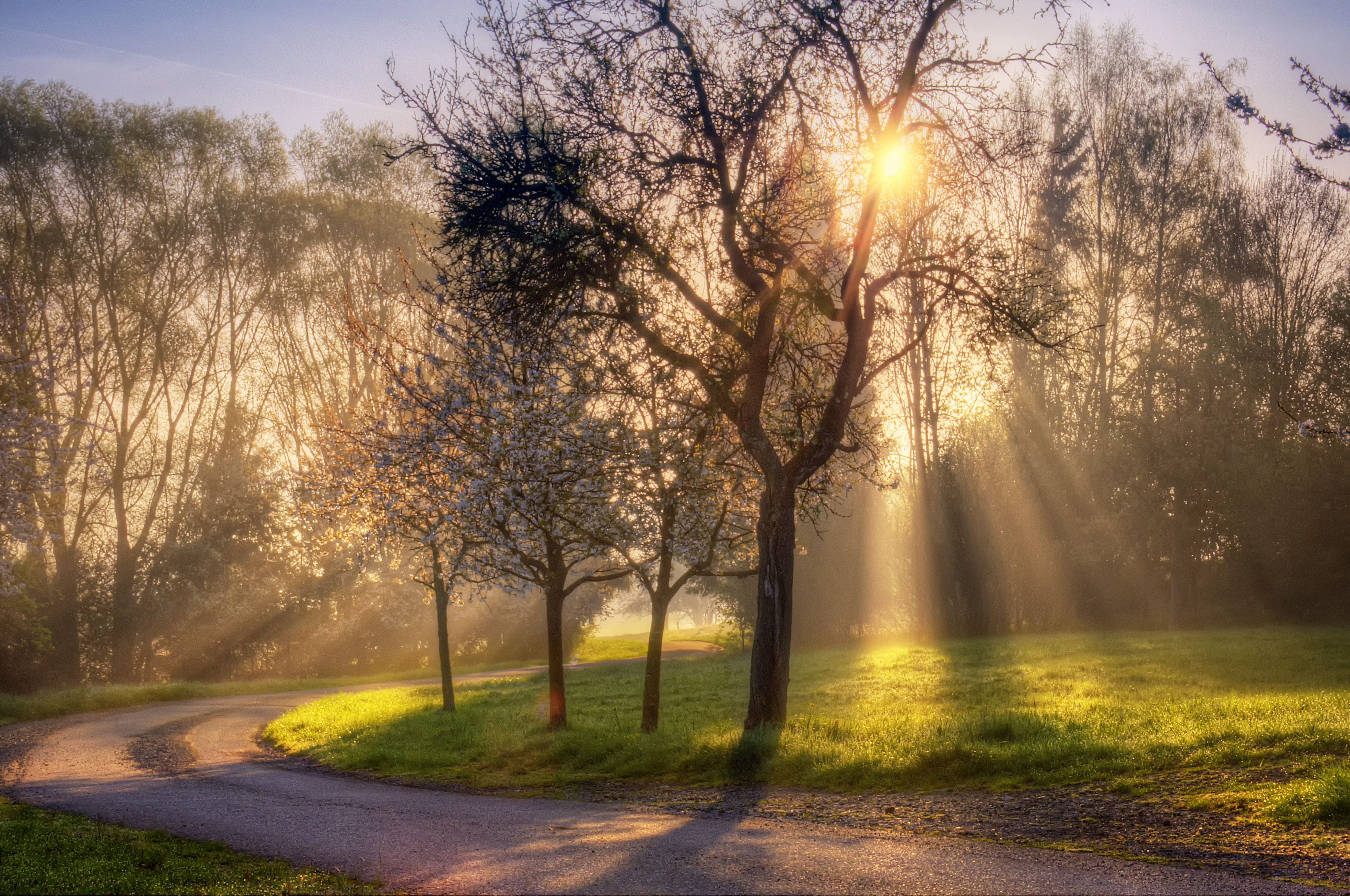 Good Morning Spring Images Wallpapers