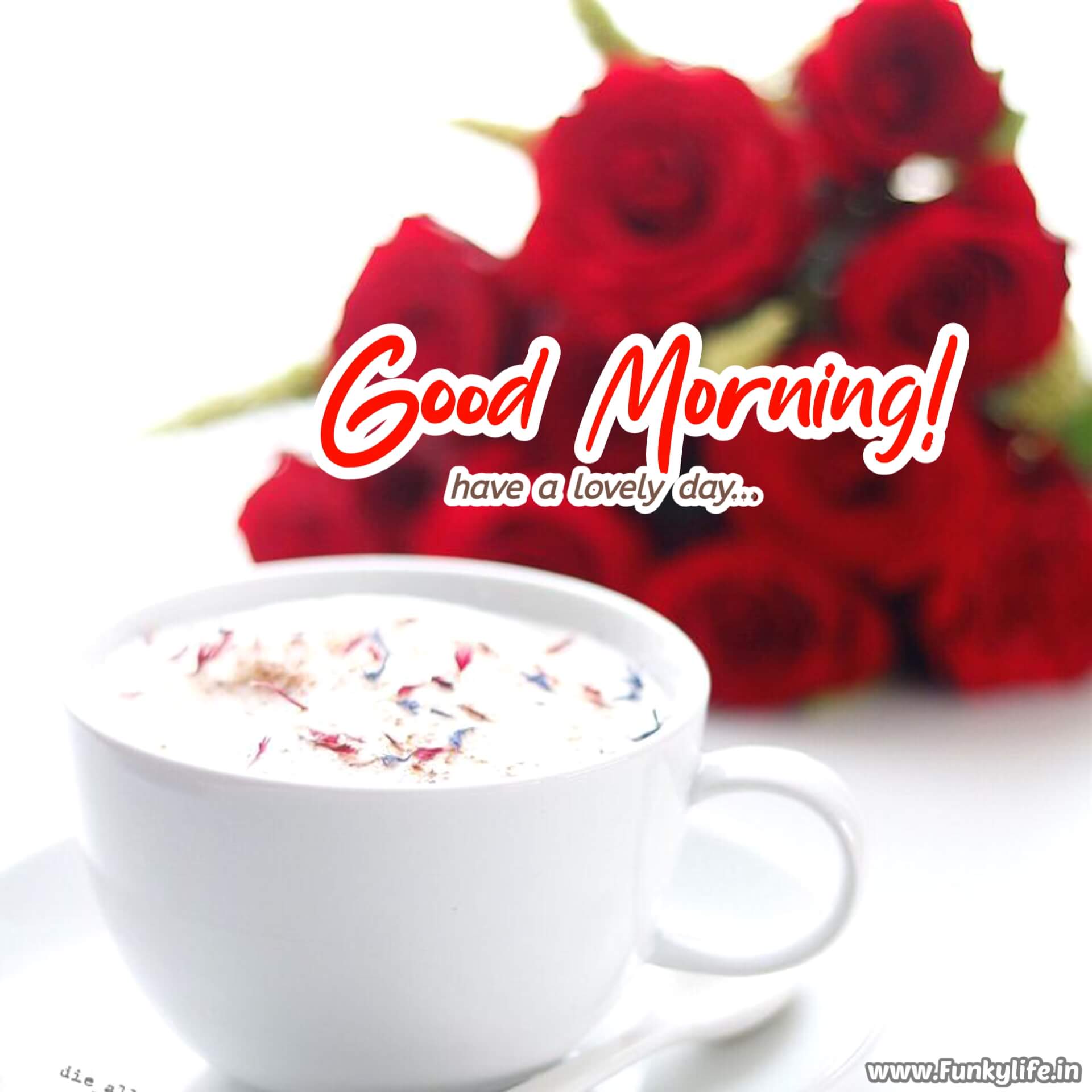 Goodmorning Beautiful Pics Wallpapers